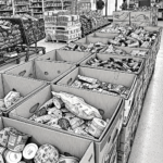How Much Salvage Food Is Available Every Day in America